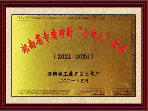 湖南省專精特新“小巨人”企業